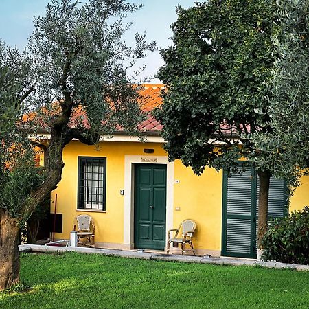 La Vista Agriturismo Boutique Ariccia Extérieur photo