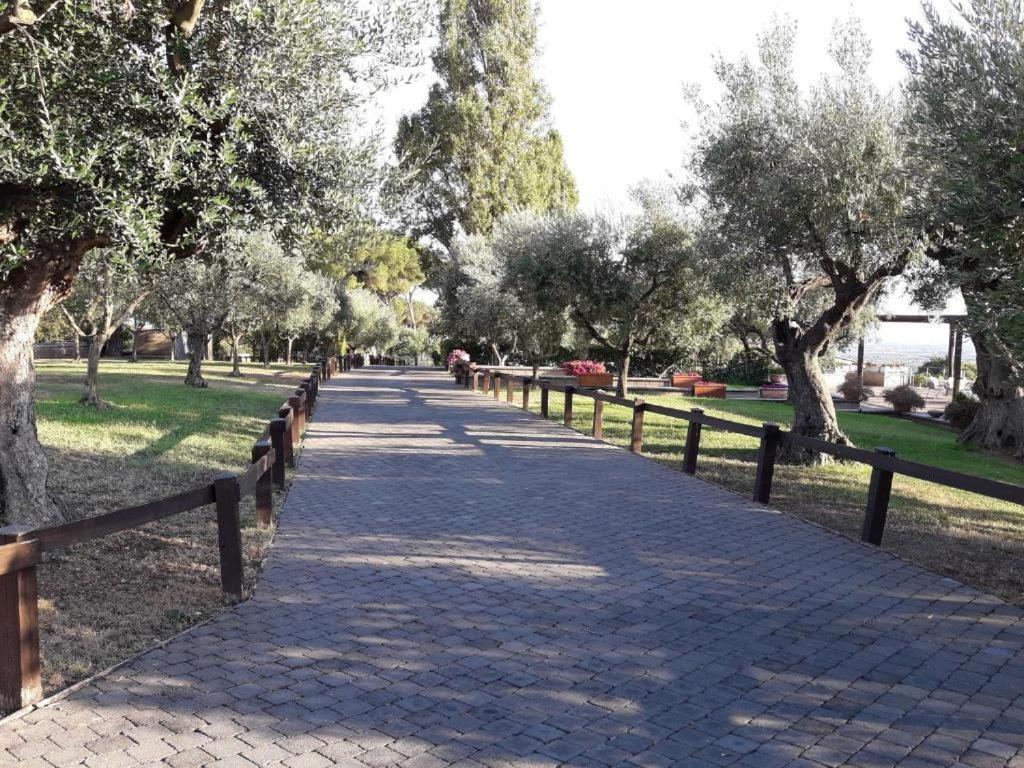 La Vista Agriturismo Boutique Ariccia Extérieur photo